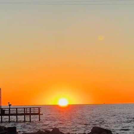 Pet Friendly Tranquil Cottage With Fire-Pit And Seasonal Hot Tub Sept-March Minutes To Beaches Dauphin Island Zewnętrze zdjęcie
